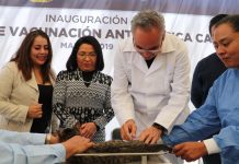 Del 24 al 30 de marzo se realiza la Semana Nacional de Vacunación Antirrábica Canina y Felina 2019