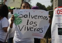 105 mil firmas respaldan a los vecinos que salvarán el Vivero Santa Cruz