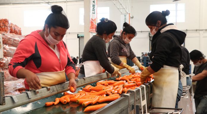 Foto: Secretaría de Desarrollo Rural