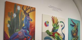 En San Pedro Museo de Arte, Cultura inaugura exposición “Psicodelia Animal”