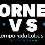 torneo lobos 7 vs 7