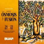 5bb5cadb-cc03-45bc-95af-74c322c3a9d4