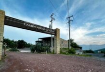 Tamaulipas, complemento de la aventura mundialista del fútbol