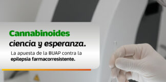 Estudian en la BUAP cannabinoides para tratamiento de epilepsia